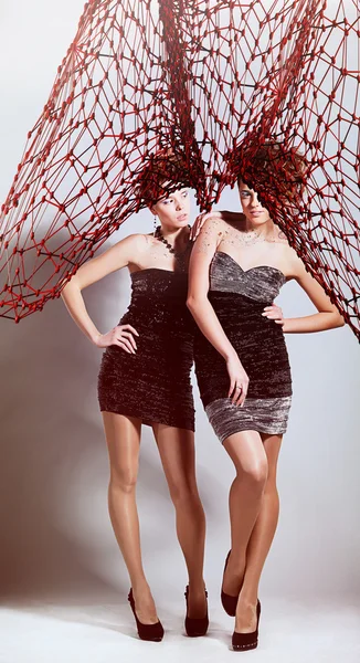Yüksek net saç modeli ile iki kız — Stok fotoğraf