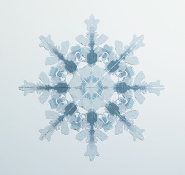 Aralık kristal kar tanesi