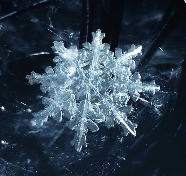 Crystal christmas snowflake in frost — Stock Photo, Image