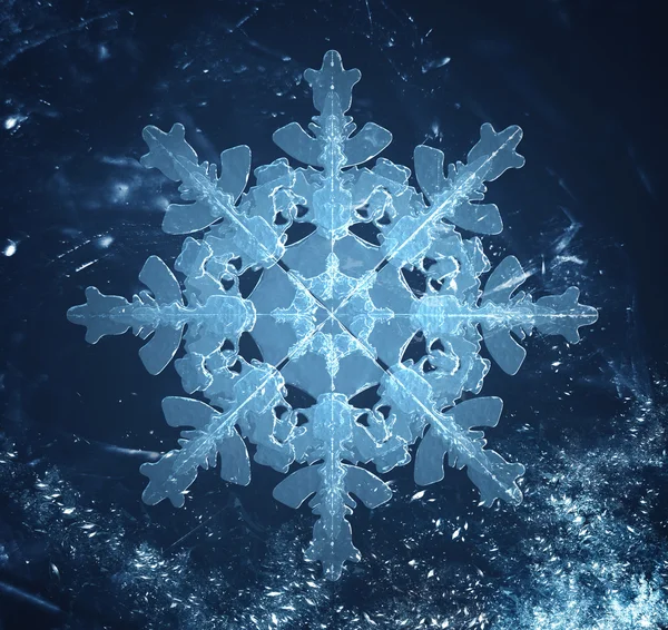 Crystal snowflake in frost — Stock Photo, Image