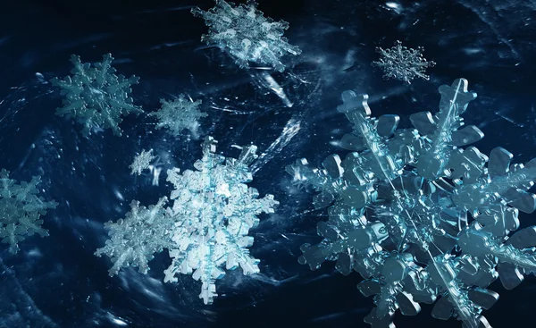 Snowflakes in snow-storm — Stock Photo, Image