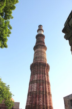 qutub minar yaprakları ve duvar ile çevrili