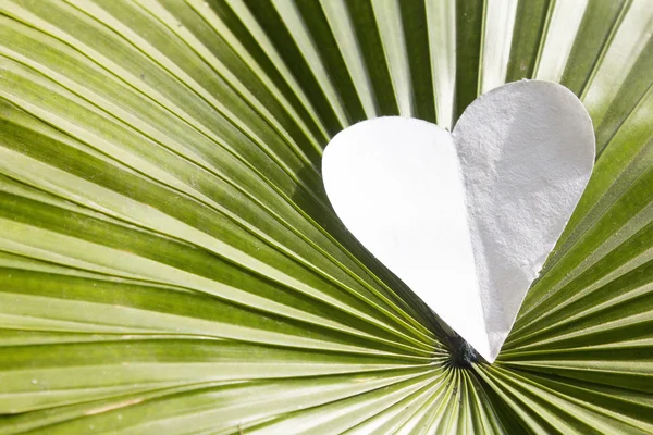 Forma del corazón sobre la hoja — Foto de Stock