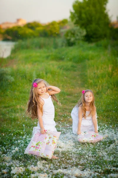 Duas meninas encantadoras jogando no prado — Fotografia de Stock