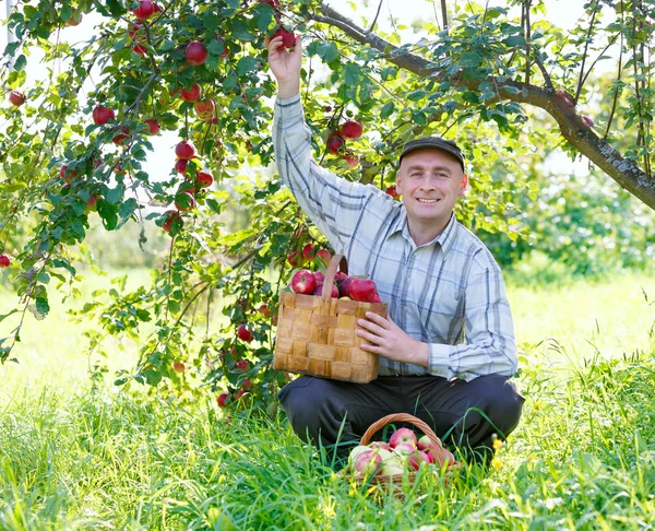 Homem adulto sentado no jardim — Fotografia de Stock