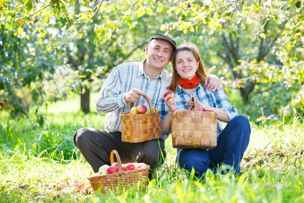 Coppia felice nei raccolti in giardino — Foto Stock