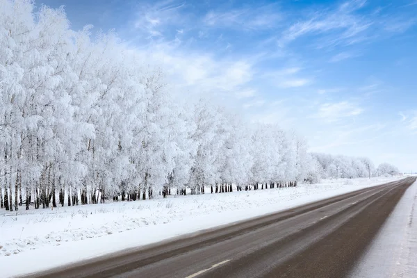 Droga zimą — Zdjęcie stockowe