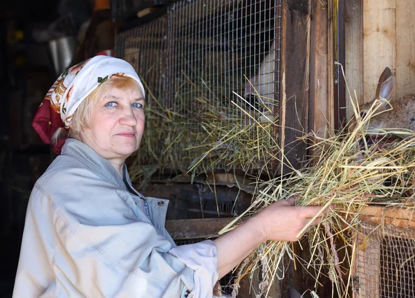 Vrouw zorgt voor de konijnen op de boerderij — Stockfoto