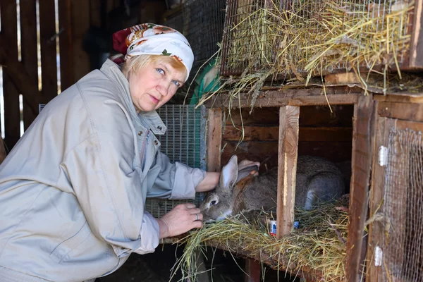女人照顾农场兔 — 图库照片