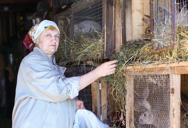 Mulher cuida dos coelhos na fazenda — Fotografia de Stock