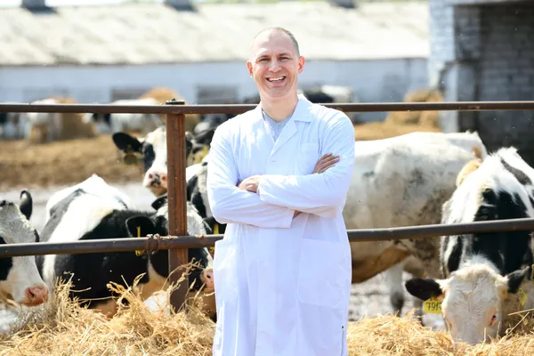 Człowiek w biały płaszcz na farmie krów — Zdjęcie stockowe