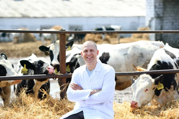 Uomo con un cappotto bianco nella fattoria delle mucche — Foto Stock