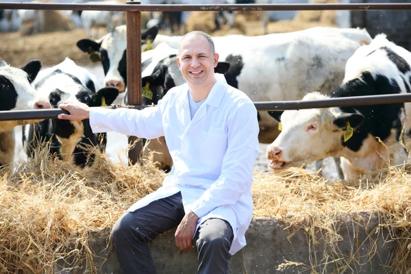 Чоловік у білому пальто на коров'ячій фермі — стокове фото