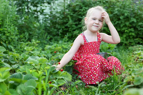 Meisje verzamelt aardbeien — Stockfoto