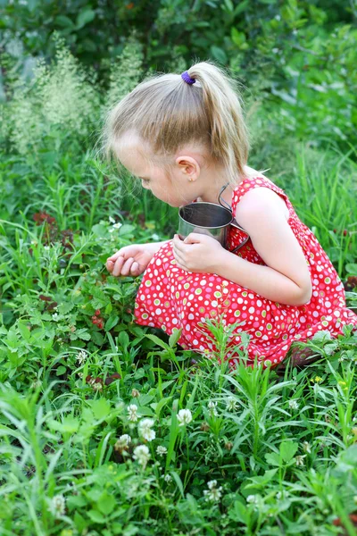 Mädchen sammelt Erdbeeren — Stockfoto