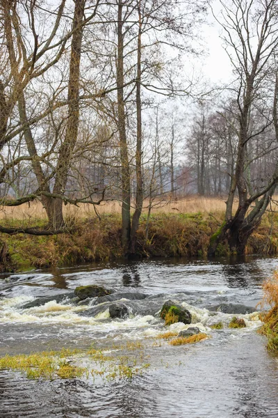 Осенний пейзаж небольшая река — стоковое фото