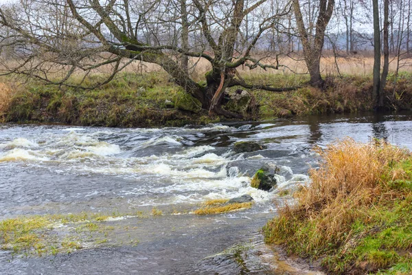 Paisaje otoñal un pequeño río — Foto de Stock