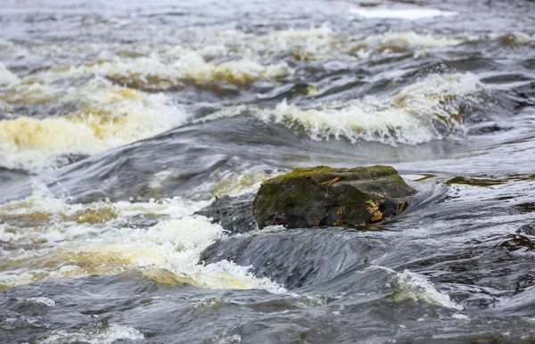 Stein in einen schnellen Fluss — Stockfoto