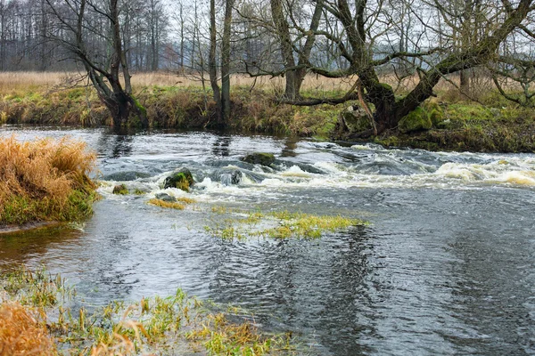 Paesaggio d'autunno un piccolo fiume — Foto Stock