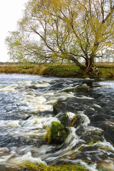 Fast River — Stock Photo, Image
