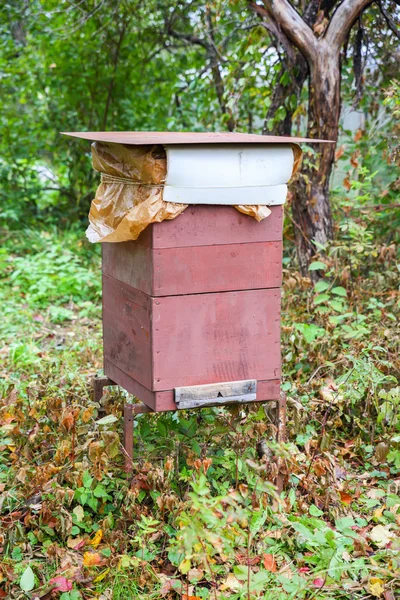 Bijenkorf in de tuin — Stockfoto