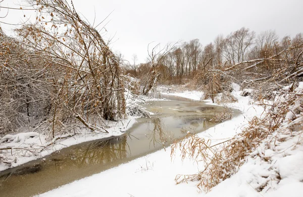 Zugefrorener kleiner Fluss aus schneebedecktem Busch — Stockfoto