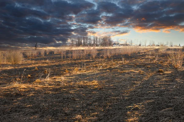 kömürleşmiş çayır siyah