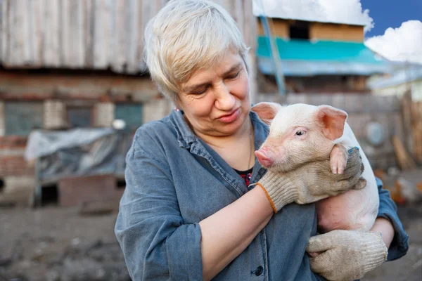 Mulher segurando um pequeno porco — Fotografia de Stock
