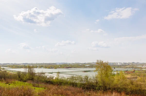 Serra di produzione vegetale — Foto Stock