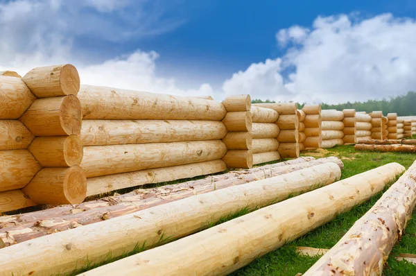 Bina bir ev-ahşap günlükleri