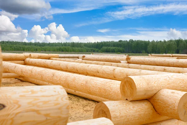 Bau eines Hauses aus Holzstämmen — Stockfoto