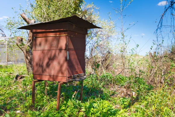 ミツバチの巣箱 — ストック写真