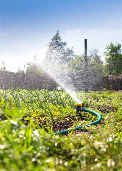 Watering garden equipment — Stock Photo, Image