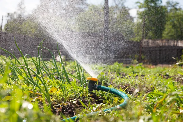 Watering garden equipment — Stock Photo, Image