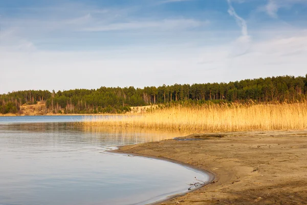 Våren sjöstranden — Stockfoto