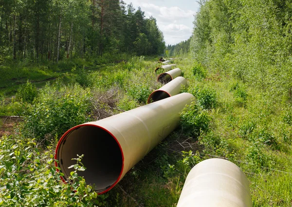 Pipe line — Stock Photo, Image