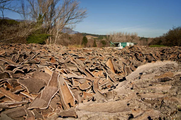 Stacked wood bark tree production for processing at industrial factory. — ストック写真
