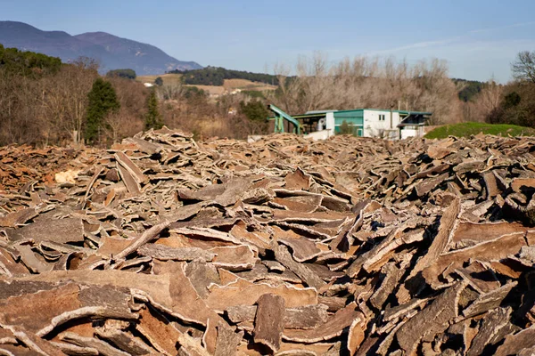 Stacked wood bark tree production for processing at industrial factory. — ストック写真