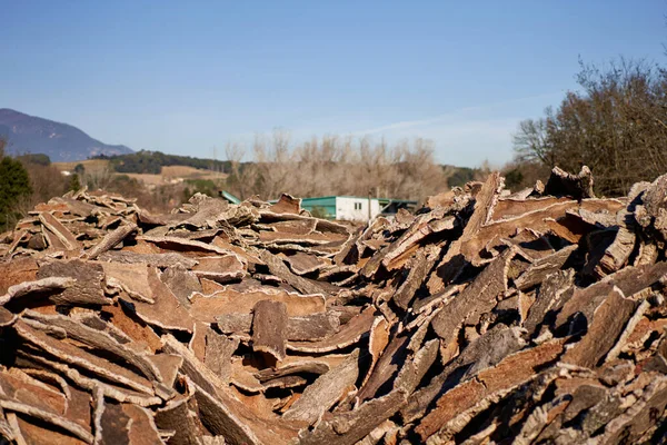 Stacked wood bark tree production for processing at industrial factory. — 图库照片