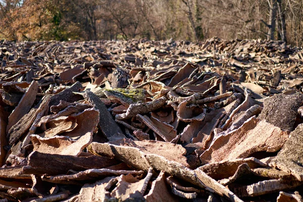 Wood bark production at industrial. — ストック写真