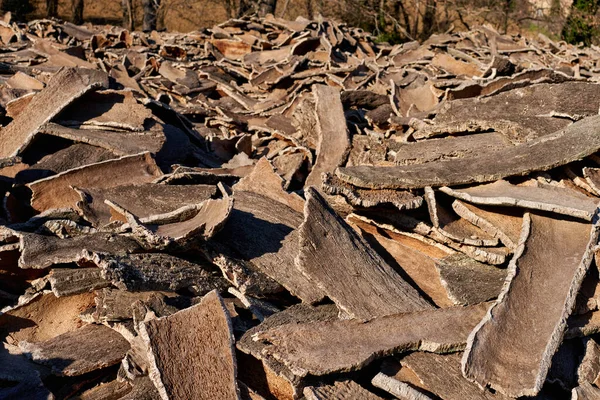 Stacked wood bark tree production for processing at industrial factory. — Stock Photo, Image