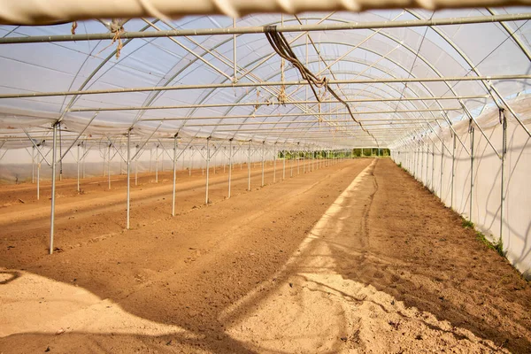 Empty greenhouse prepared for planting. — Photo
