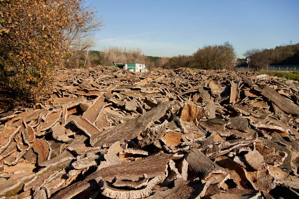 Stacked wood bark tree production for processing at industrial factory. —  Fotos de Stock