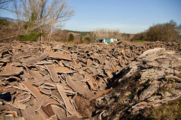 Stacked wood bark tree production for processing at industrial factory. — ストック写真