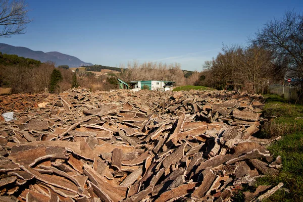 Виробництво дерев'яної корки для переробки на промисловому заводі . — стокове фото