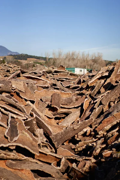 Виробництво деревної кори на промисловому заводі . — стокове фото