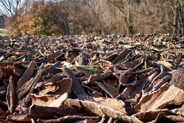 Wood bark production at industrial. —  Fotos de Stock