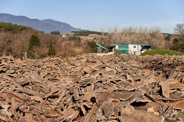 Виробництво дерев'яної корки для переробки на промисловому заводі . — стокове фото