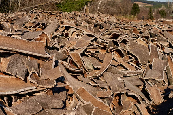 Stacked wood bark tree production for processing at industrial factory. — Foto Stock