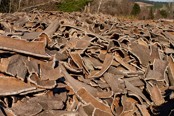 Stacked wood bark tree production for processing at industrial factory. — Stock Photo, Image